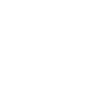 The Pavaso Logo.